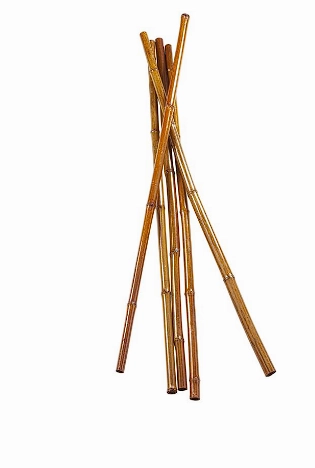 BROWN DRIED PLANT STICKS NATURAL FOLIAGE, 1" X 1" X 47"