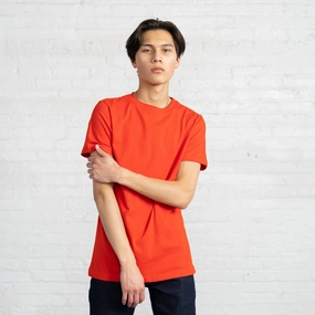 Combed Cotton T - Fitted