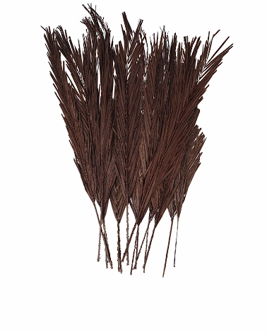 DARK BROWN DRIED PLANT PALM LEAF NATURAL FOLIAGE WITH FEATHER INSPIRED STEMS, 4" X 1" X 43"