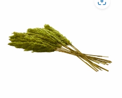 DRIED PLANT PAMPAS NATURAL FOLIAGE WITH LONG STEMS,
