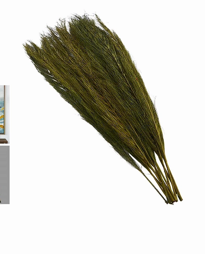 GREEN DRIED PLANT LEAVES NATURAL FOLIAGE WITH FEATHER INSPIRED STEMS, 4" X 1" X 35"