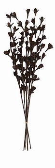 MULTI COLORED DRIED PLANT BAMBOO NATURAL FOLIAGE,
