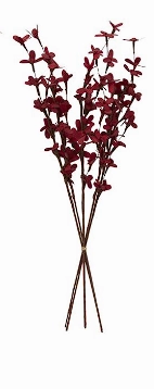 MULTI COLORED DRIED PLANT BAMBOO NATURAL FOLIAGE,
