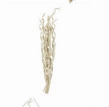 PALM LEAF TALL ROLLED NATURAL FOLIAGE,