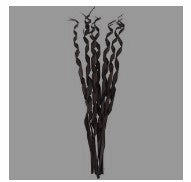 PALM LEAF TALL ROLLED NATURAL FOLIAGE,
