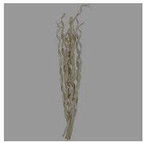 PALM LEAF TALL ROLLED NATURAL FOLIAGE,