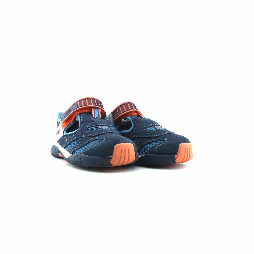 PEDIPED STRINGRAY