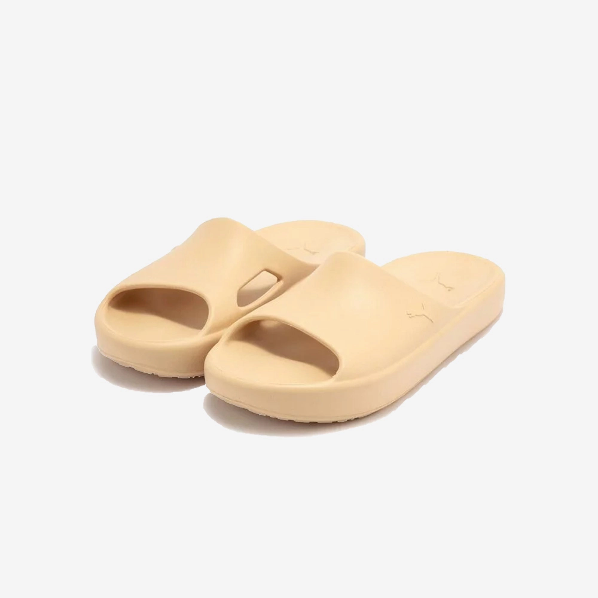 Puma | SHIBUI CAT  { LIGHT SAND