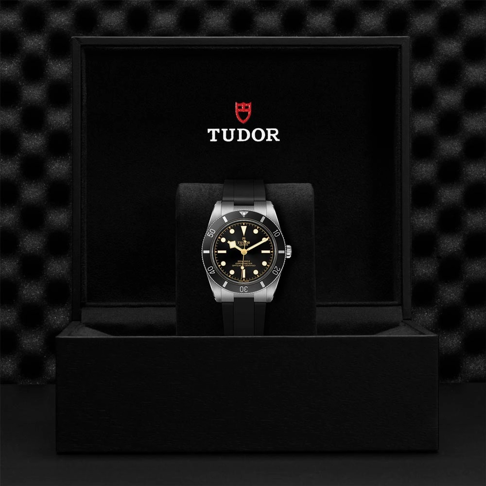 TUDOR Black Bay 54 Black Dial 37mm Watch M79000N-0002