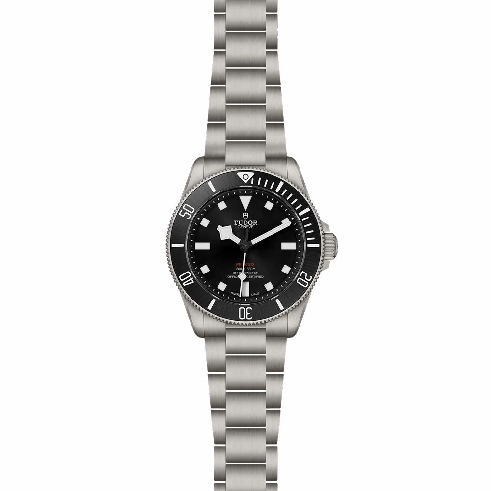 TUDOR Pelagos 39 Black Dial Watch M25407N-0001